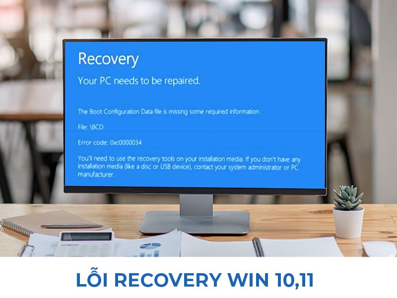 loi recovery win 10 11