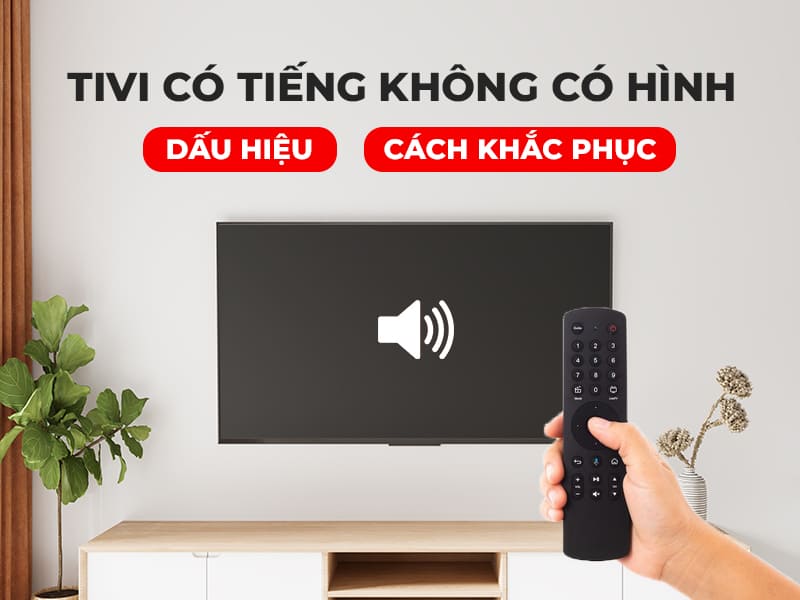 tivi co tieng khong co hinh